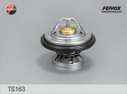 FENOX TS163 Термостат