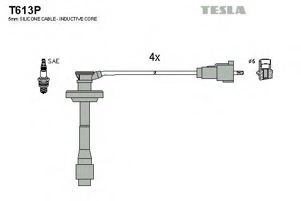 Комплект проводов зажигания TESLA T613P